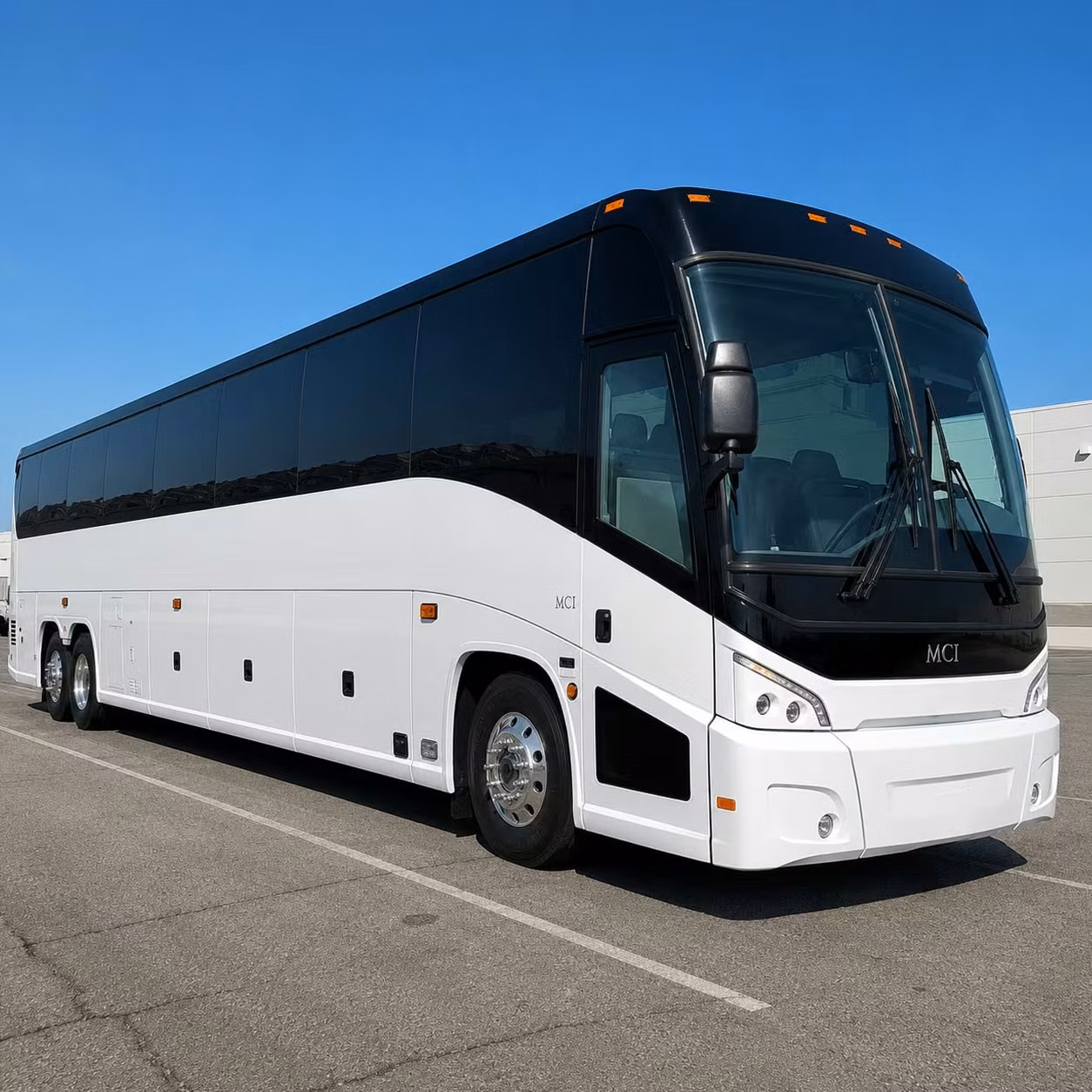 amalie arena and tropicana field group transportation from clearwater