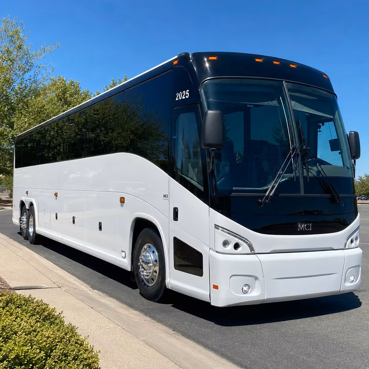 clearwater sports teams and fan groups trust long distance charter buses for away game travel
