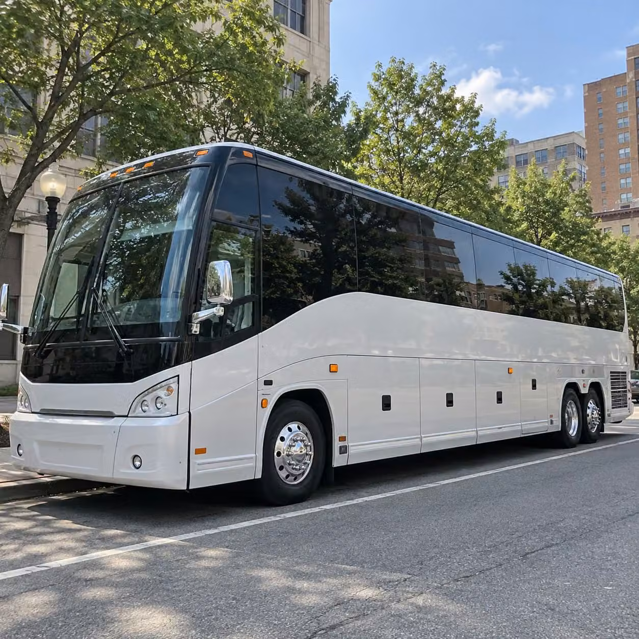 for easy clearwater prom transportation charterbusclearwater com has you covered all season long