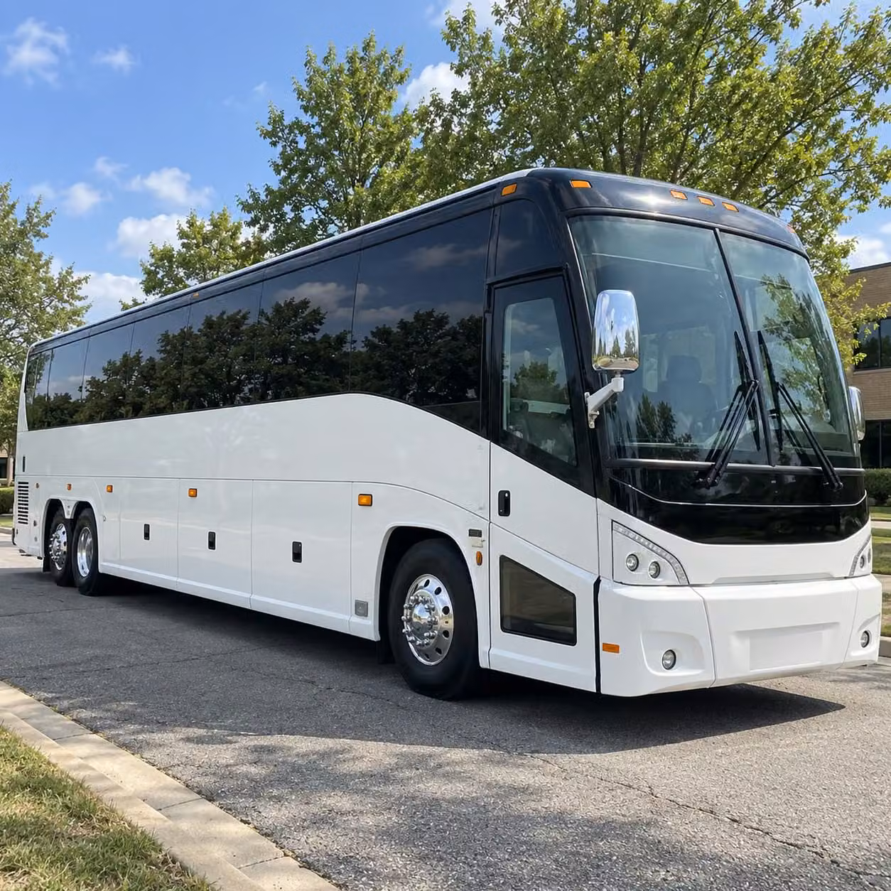 pinellas county school field trip bus rentals for every grade level